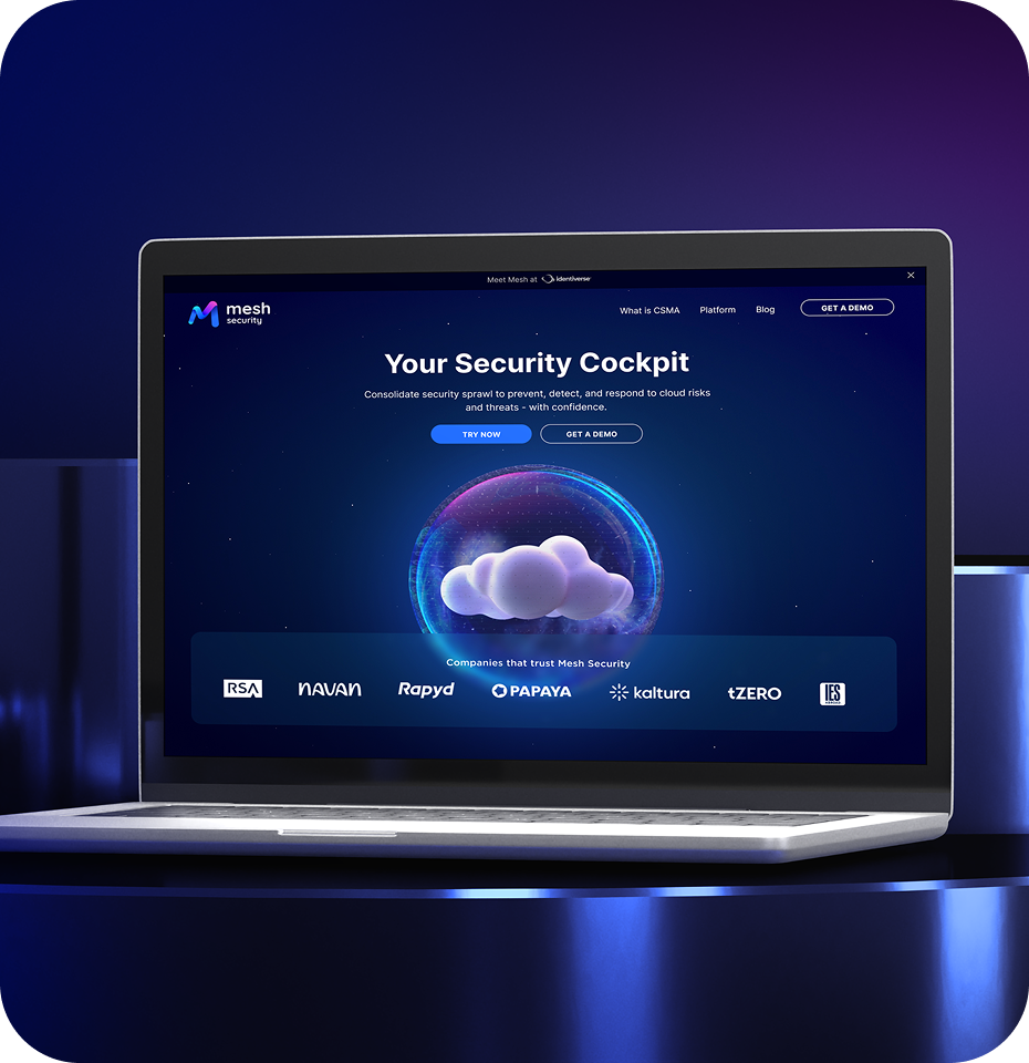 MESH SECURITY